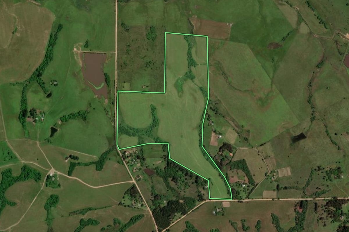 Imagem de satélite do imóvel rural em Dilermando de Aguiar (RS), com o contorno declarado no CAR desenhado por cima.