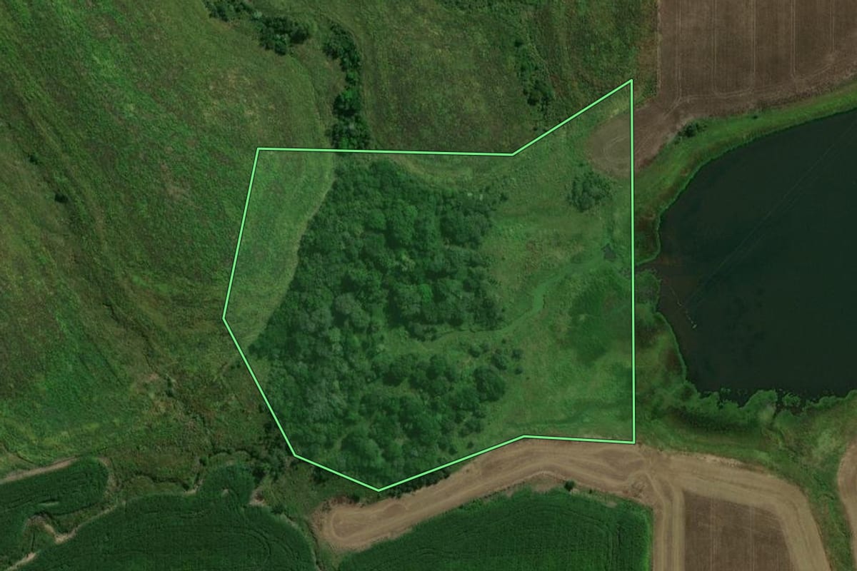 Imagem de satélite do imóvel rural em Dilermando de Aguiar (RS), com o contorno declarado no CAR desenhado por cima.