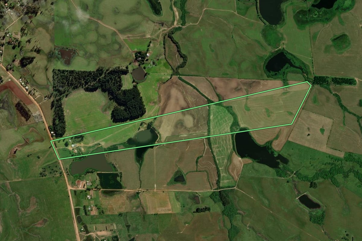 Imagem de satélite do imóvel rural em Dilermando de Aguiar (RS), com o contorno declarado no CAR desenhado por cima.
