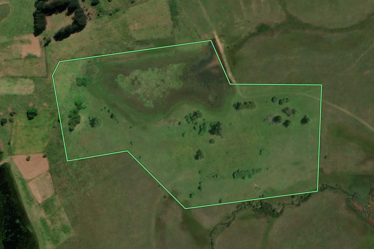 Imagem de satélite do imóvel rural em Dilermando de Aguiar (RS), com o contorno declarado no CAR desenhado por cima.