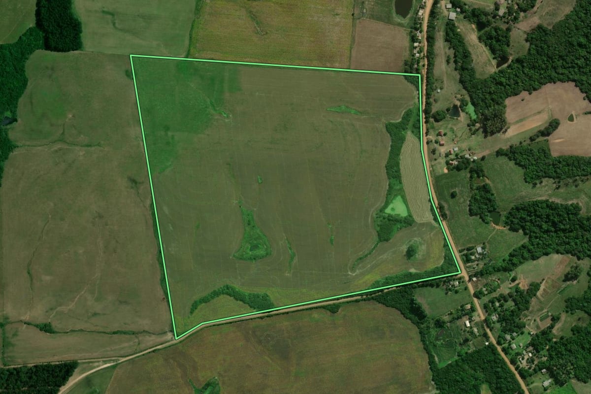Imagem de satélite do imóvel rural em Dilermando de Aguiar (RS), com o contorno declarado no CAR desenhado por cima.