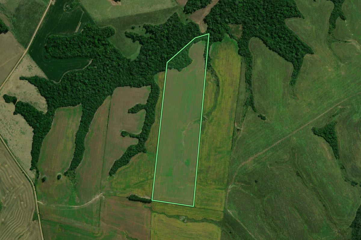 Imagem de satélite do imóvel rural em Dilermando de Aguiar (RS), com o contorno declarado no CAR desenhado por cima.