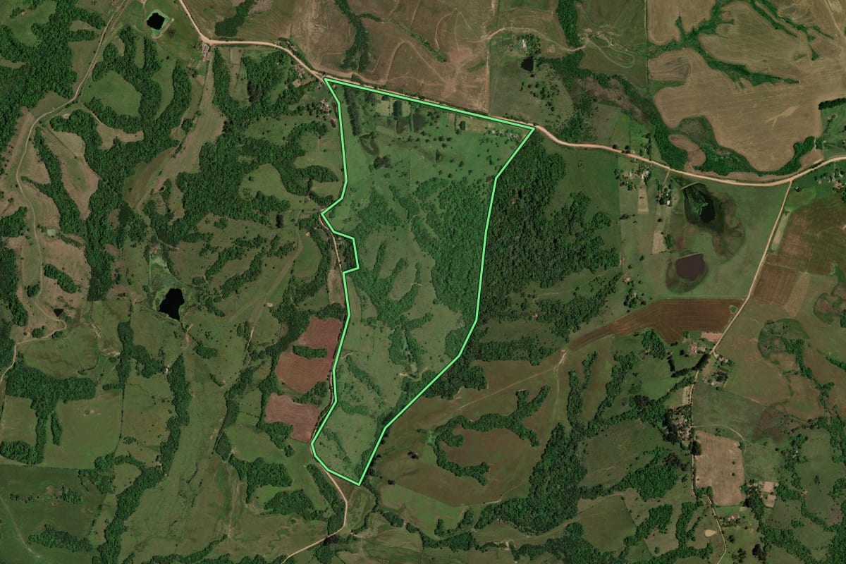 Imagem de satélite do imóvel rural em Dilermando de Aguiar (RS), com o contorno declarado no CAR desenhado por cima.