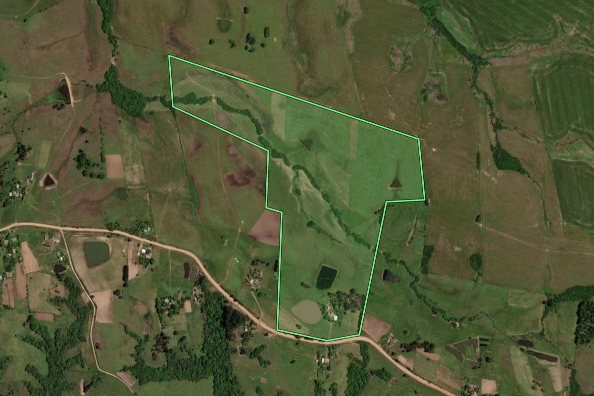 Imagem de satélite do imóvel rural em Dilermando de Aguiar (RS), com o contorno declarado no CAR desenhado por cima.