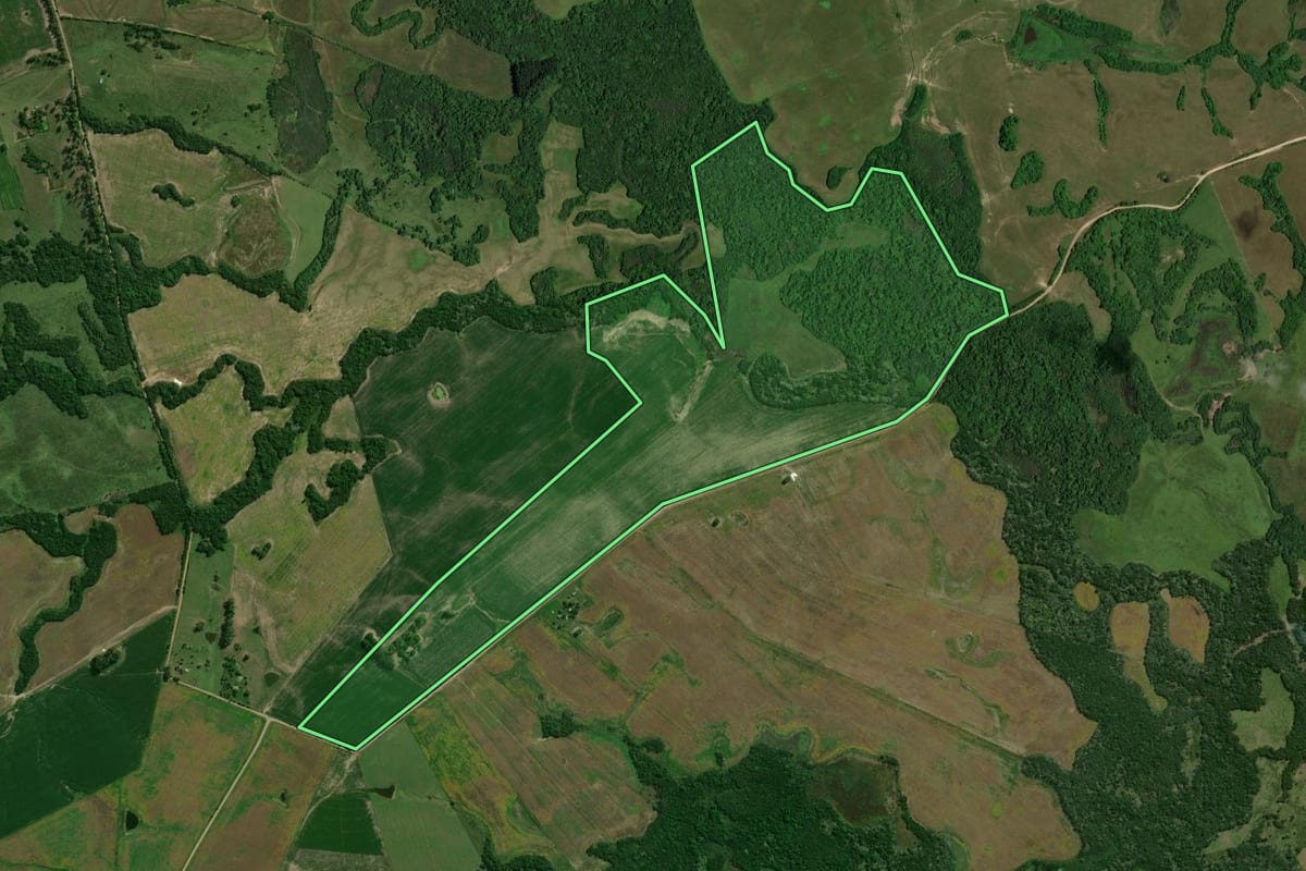Imagem de satélite do imóvel rural em Dilermando de Aguiar (RS), com o contorno declarado no CAR desenhado por cima.
