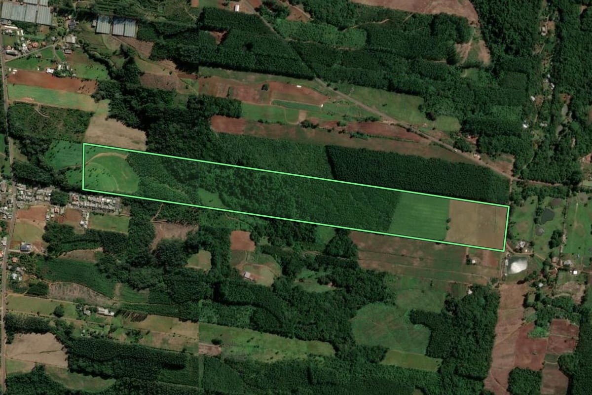 Imagem de satélite do imóvel rural em Dois Irmãos (RS), com o contorno declarado no CAR desenhado por cima.