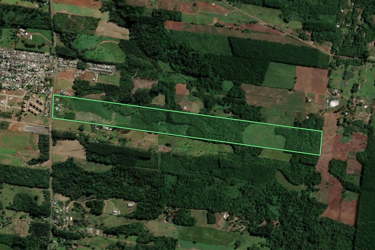 Imagem de satélite do imóvel rural em Dois Irmãos (RS), com o contorno declarado no CAR desenhado por cima.