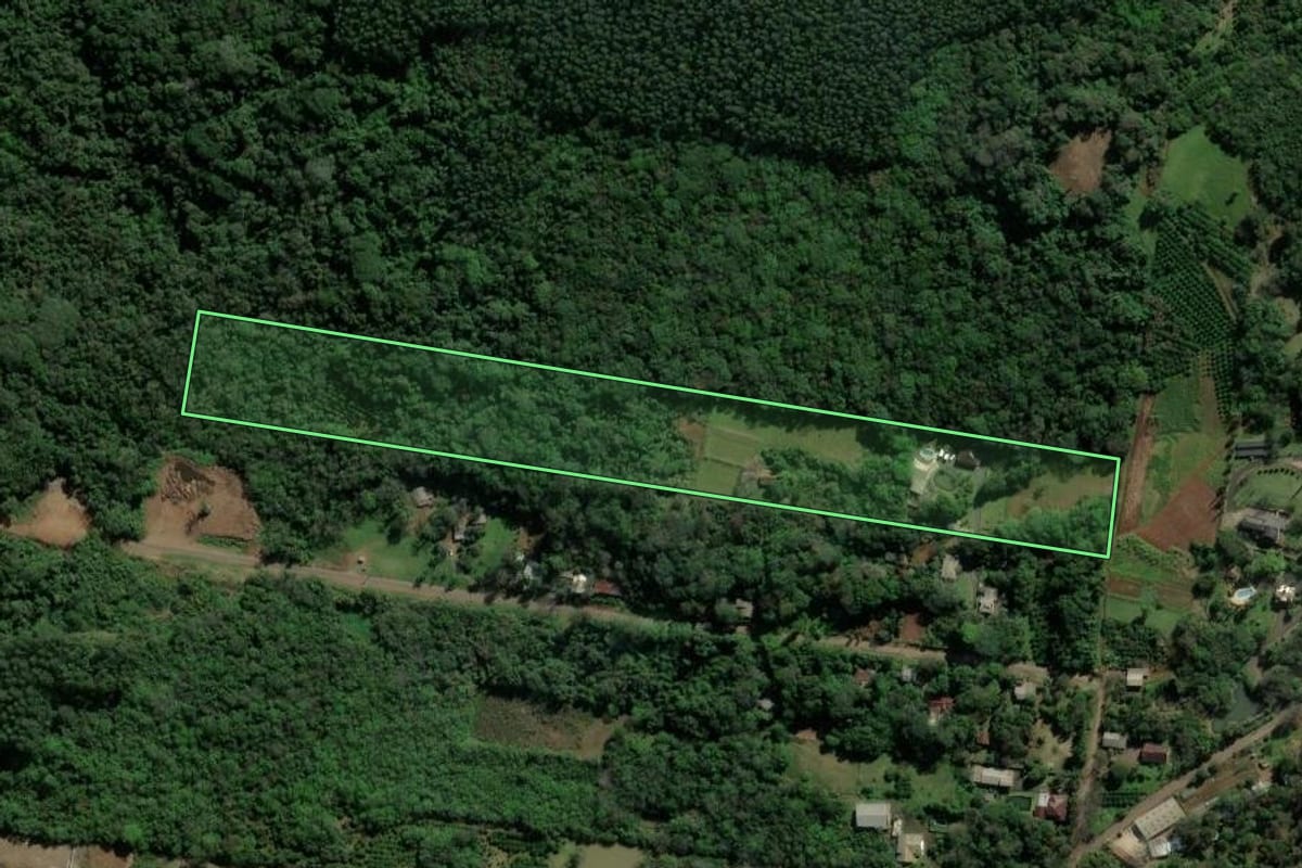 Imagem de satélite do imóvel rural em Dois Irmãos (RS), com o contorno declarado no CAR desenhado por cima.