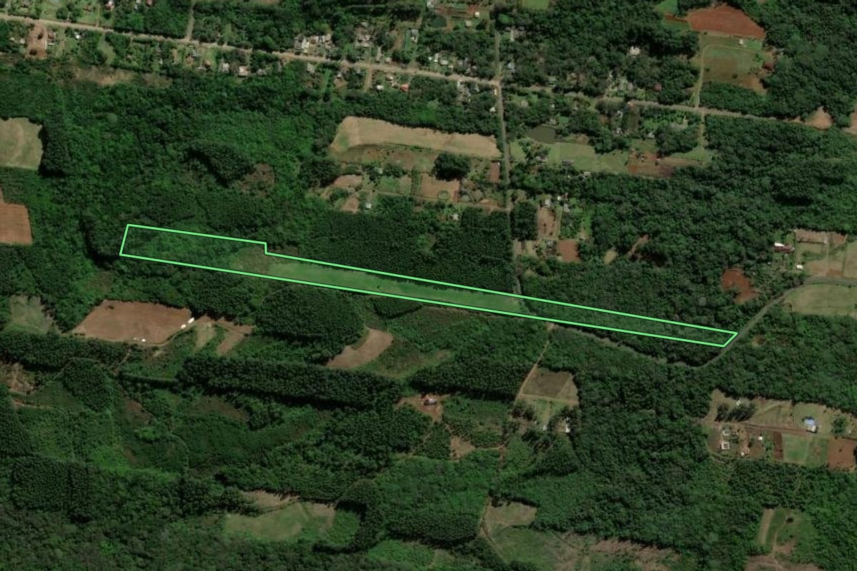 Imagem de satélite do imóvel rural em Dois Irmãos (RS), com o contorno declarado no CAR desenhado por cima.