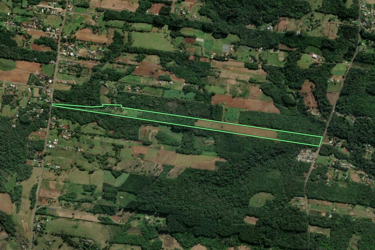 Imagem de satélite do imóvel rural em Dois Irmãos (RS), com o contorno declarado no CAR desenhado por cima.