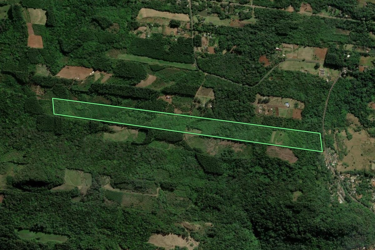 Imagem de satélite do imóvel rural em Dois Irmãos (RS), com o contorno declarado no CAR desenhado por cima.