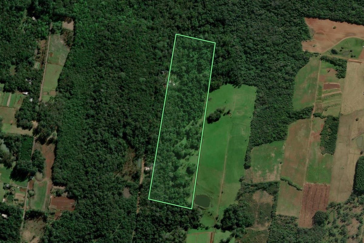 Imagem de satélite do imóvel rural em Dois Irmãos (RS), com o contorno declarado no CAR desenhado por cima.