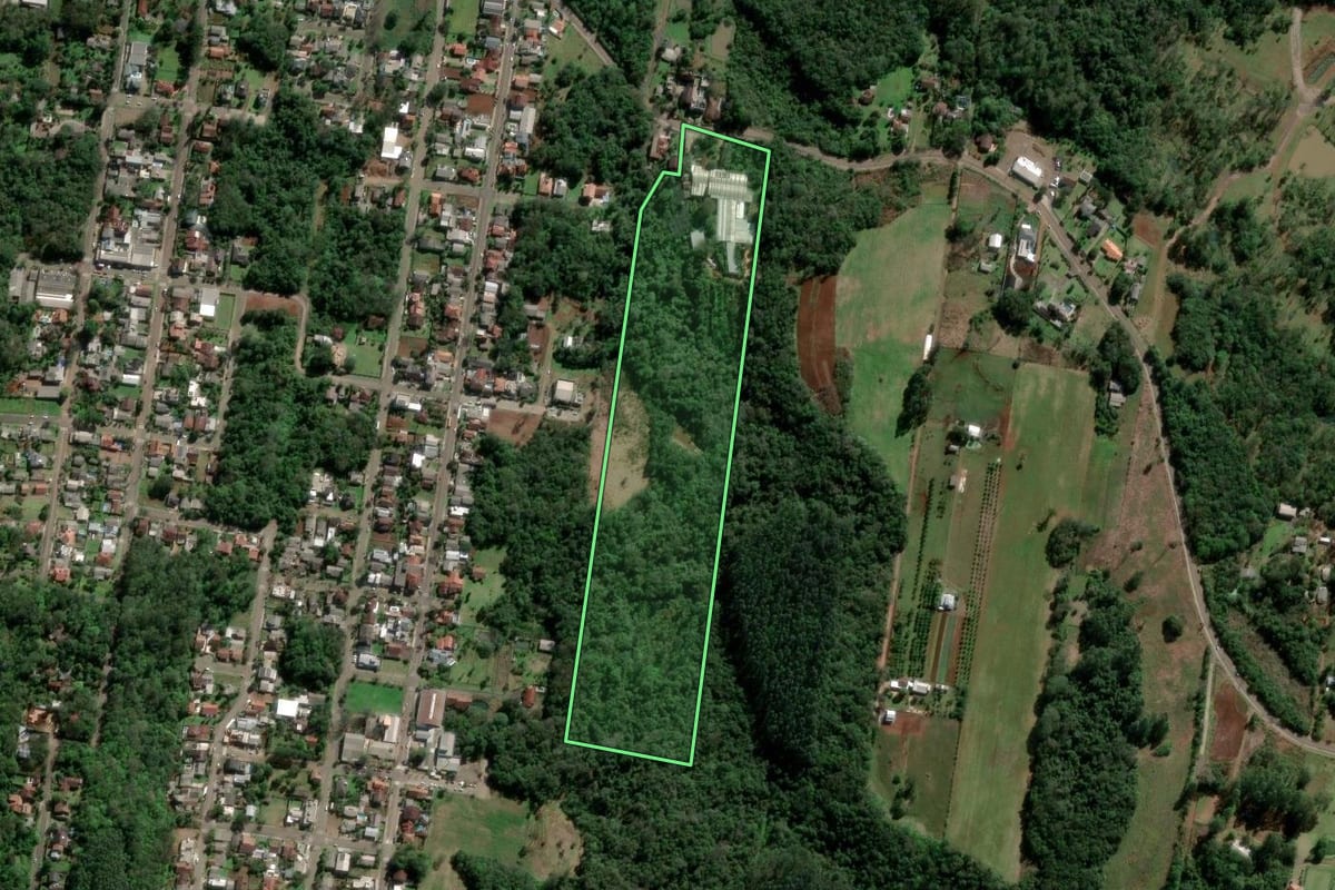 Imagem de satélite do imóvel rural em Dois Irmãos (RS), com o contorno declarado no CAR desenhado por cima.