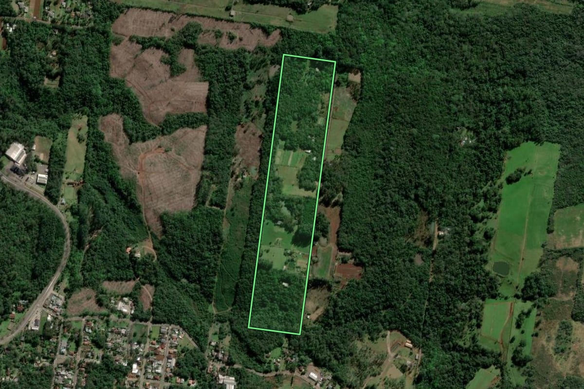 Imagem de satélite do imóvel rural em Dois Irmãos (RS), com o contorno declarado no CAR desenhado por cima.