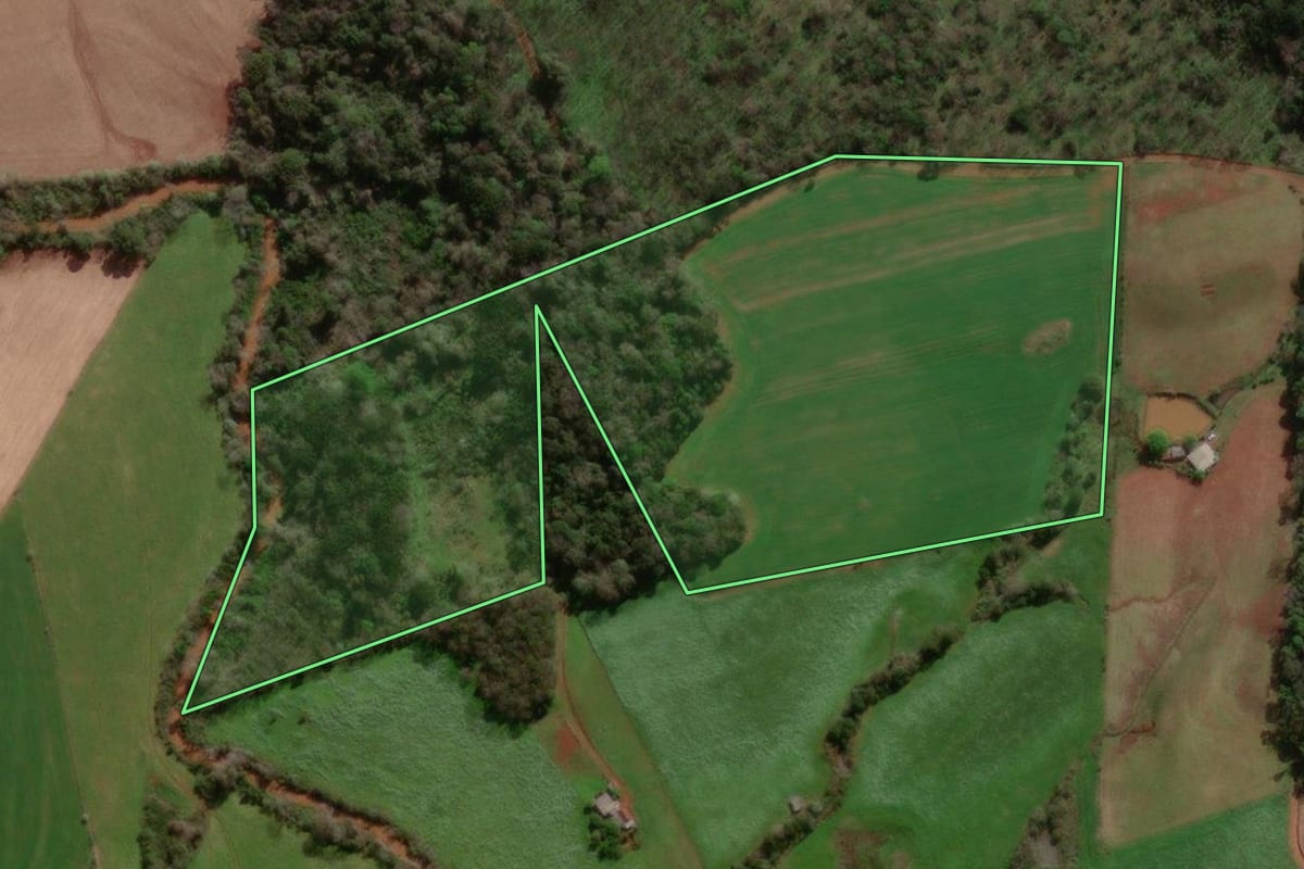 Imagem de satélite do imóvel rural em Dois Irmãos das Missões (RS), com o contorno declarado no CAR desenhado por cima.