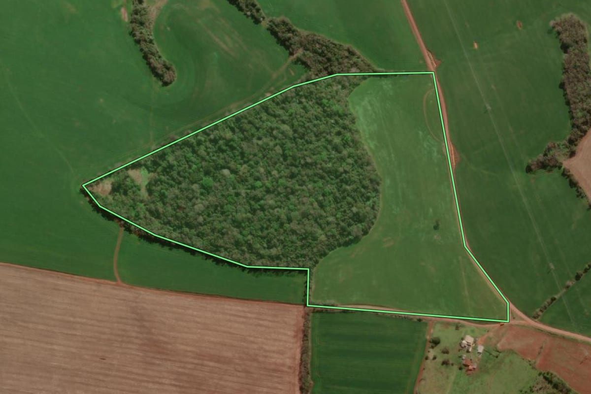 Imagem de satélite do imóvel rural em Dois Irmãos das Missões (RS), com o contorno declarado no CAR desenhado por cima.