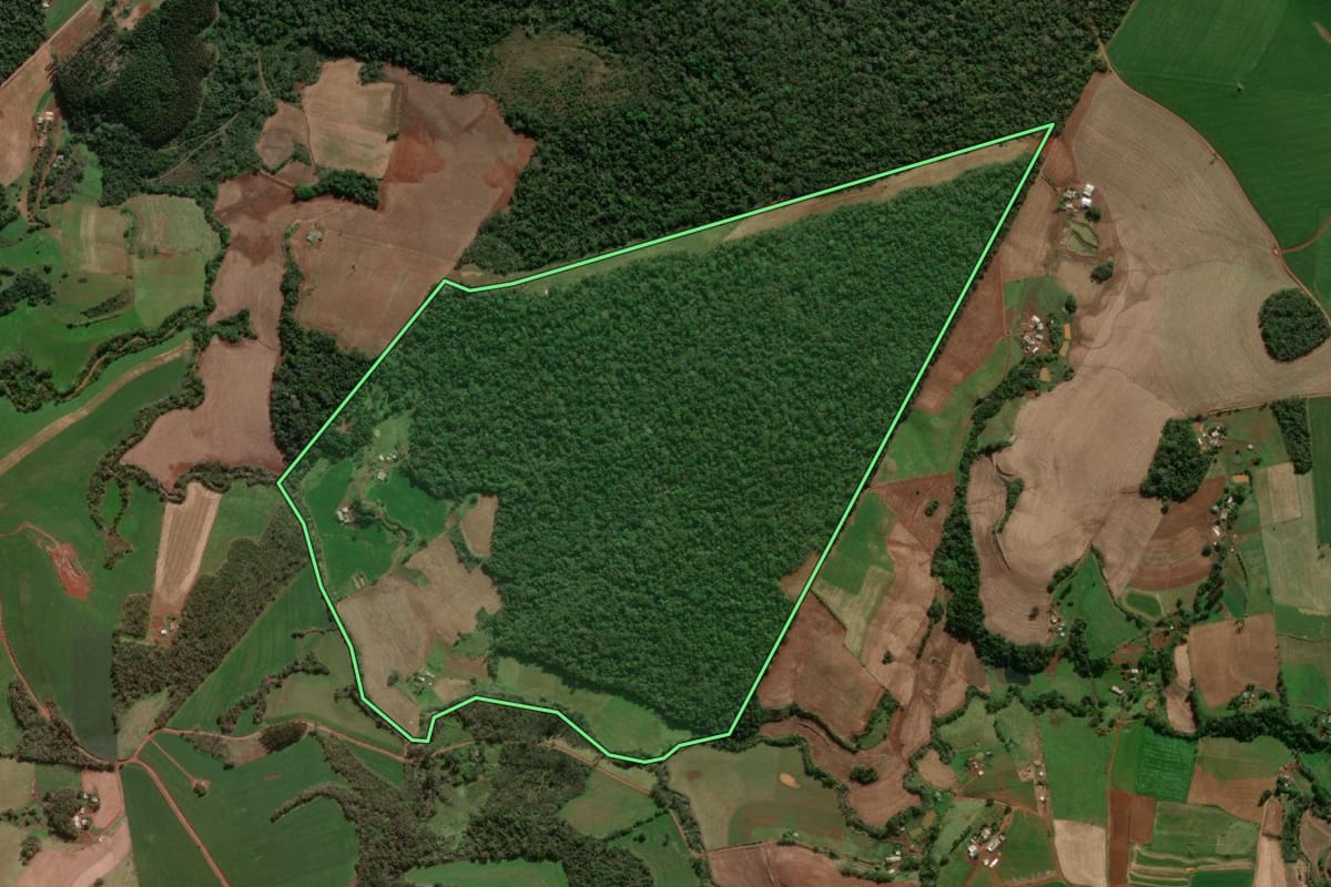 Imagem de satélite do imóvel rural em Dois Irmãos das Missões (RS), com o contorno declarado no CAR desenhado por cima.