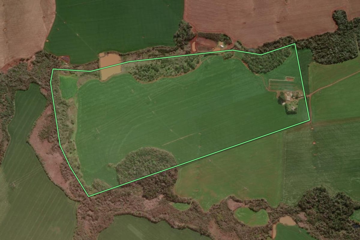 Imagem de satélite do imóvel rural em Dois Irmãos das Missões (RS), com o contorno declarado no CAR desenhado por cima.