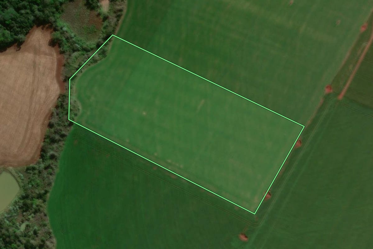 Imagem de satélite do imóvel rural em Dois Irmãos das Missões (RS), com o contorno declarado no CAR desenhado por cima.