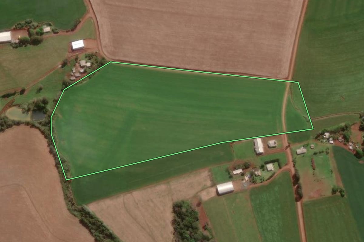 Imagem de satélite do imóvel rural em Dois Irmãos das Missões (RS), com o contorno declarado no CAR desenhado por cima.