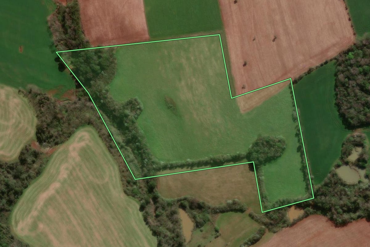 Imagem de satélite do imóvel rural em Dois Irmãos das Missões (RS), com o contorno declarado no CAR desenhado por cima.