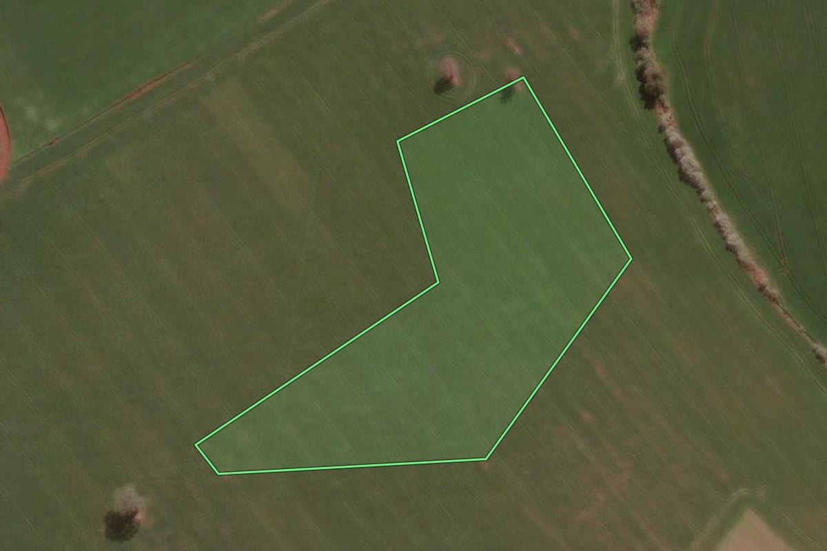 Imagem de satélite do imóvel rural em Dois Irmãos das Missões (RS), com o contorno declarado no CAR desenhado por cima.