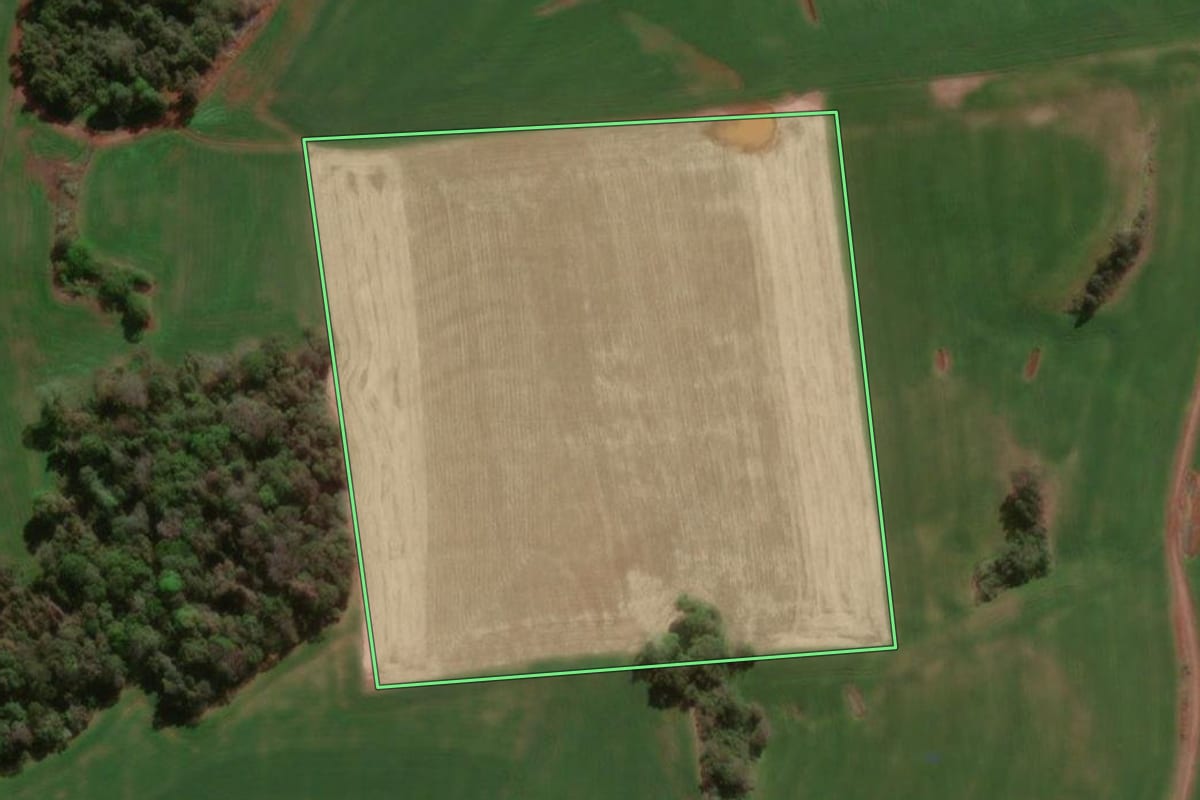 Imagem de satélite do imóvel rural em Dois Irmãos das Missões (RS), com o contorno declarado no CAR desenhado por cima.