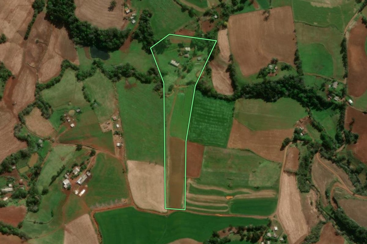 Imagem de satélite do imóvel rural em Dois Irmãos das Missões (RS), com o contorno declarado no CAR desenhado por cima.