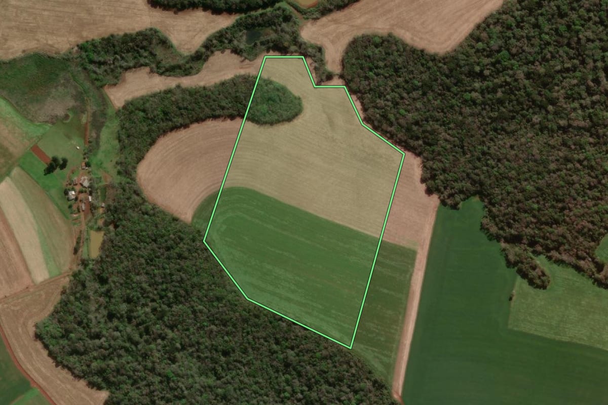Imagem de satélite do imóvel rural em Dois Irmãos das Missões (RS), com o contorno declarado no CAR desenhado por cima.