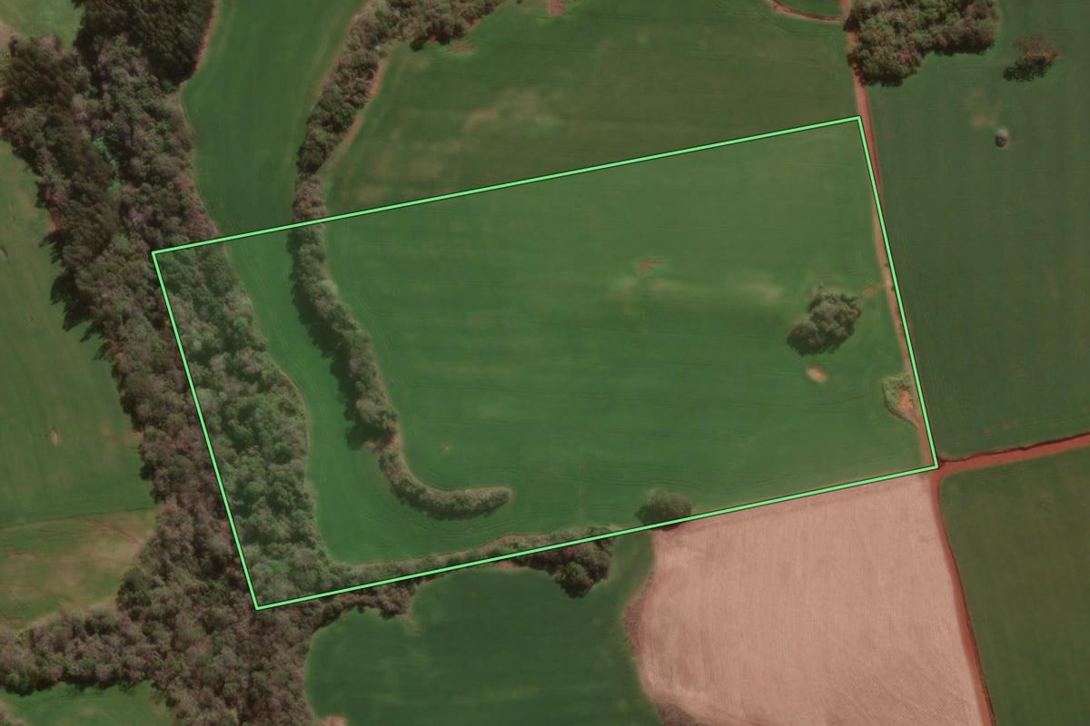 Imagem de satélite do imóvel rural em Dois Irmãos das Missões (RS), com o contorno declarado no CAR desenhado por cima.