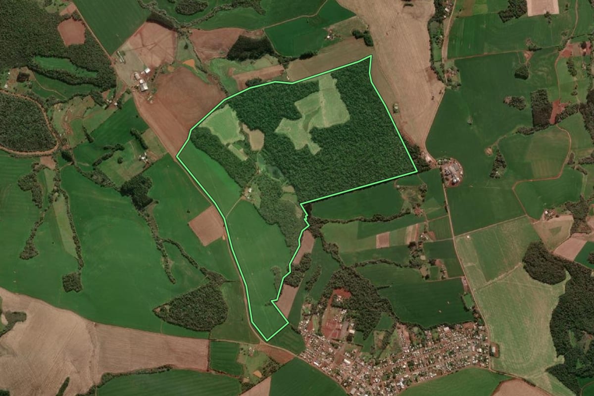 Imagem de satélite do imóvel rural em Dois Irmãos das Missões (RS), com o contorno declarado no CAR desenhado por cima.