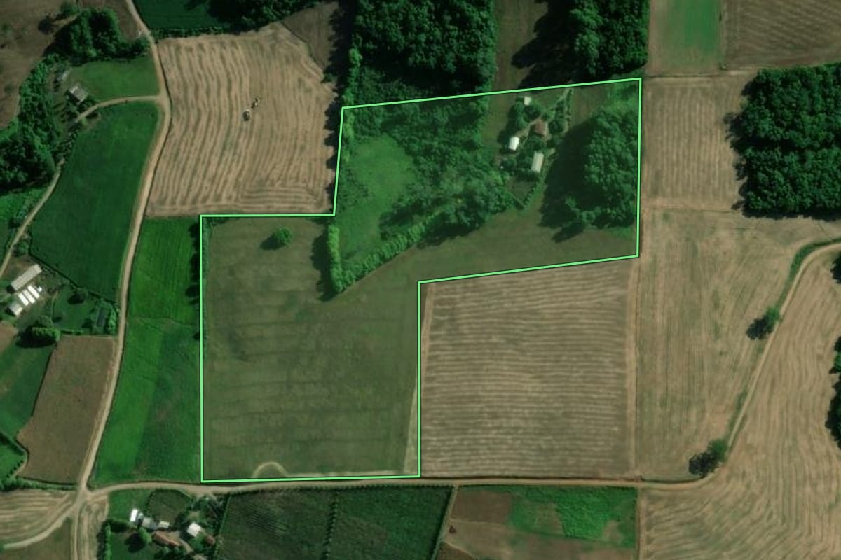 Imagem de satélite do imóvel rural em Dois Lajeados (RS), com o contorno declarado no CAR desenhado por cima.