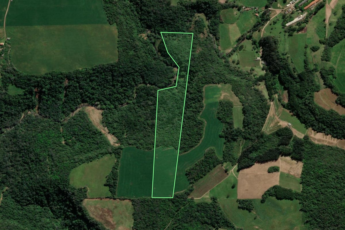 Imagem de satélite do imóvel rural em Dois Lajeados (RS), com o contorno declarado no CAR desenhado por cima.