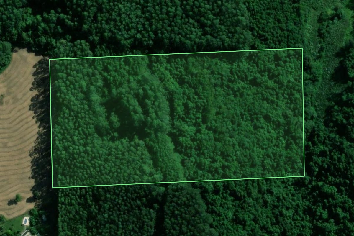 Imagem de satélite do imóvel rural em Dois Lajeados (RS), com o contorno declarado no CAR desenhado por cima.