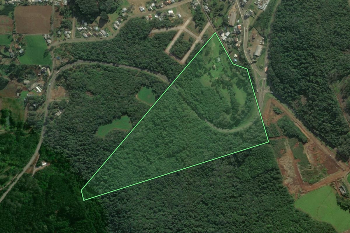 Imagem de satélite do imóvel rural em Dois Lajeados (RS), com o contorno declarado no CAR desenhado por cima.