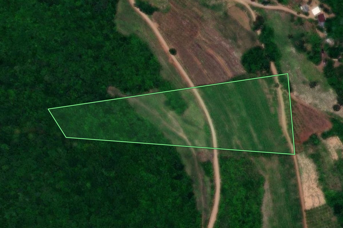Imagem de satélite do imóvel rural em Dois Lajeados (RS), com o contorno declarado no CAR desenhado por cima.