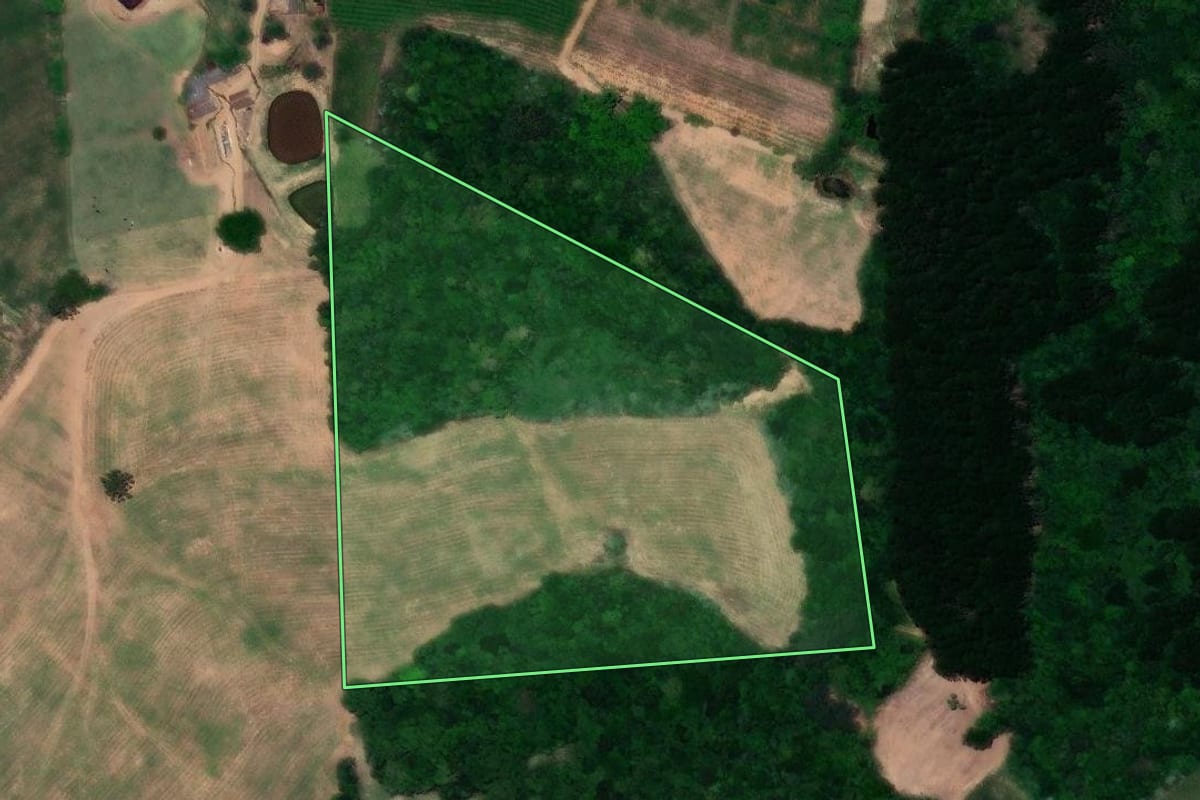 Imagem de satélite do imóvel rural em Dois Lajeados (RS), com o contorno declarado no CAR desenhado por cima.