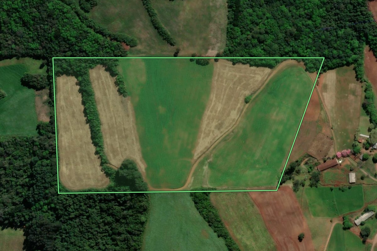 Imagem de satélite do imóvel rural em Dois Lajeados (RS), com o contorno declarado no CAR desenhado por cima.
