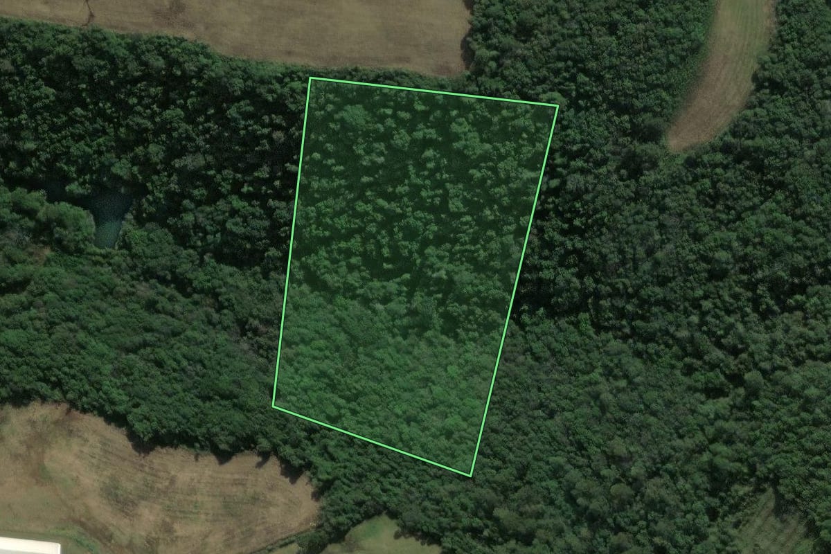 Imagem de satélite do imóvel rural em Dois Lajeados (RS), com o contorno declarado no CAR desenhado por cima.