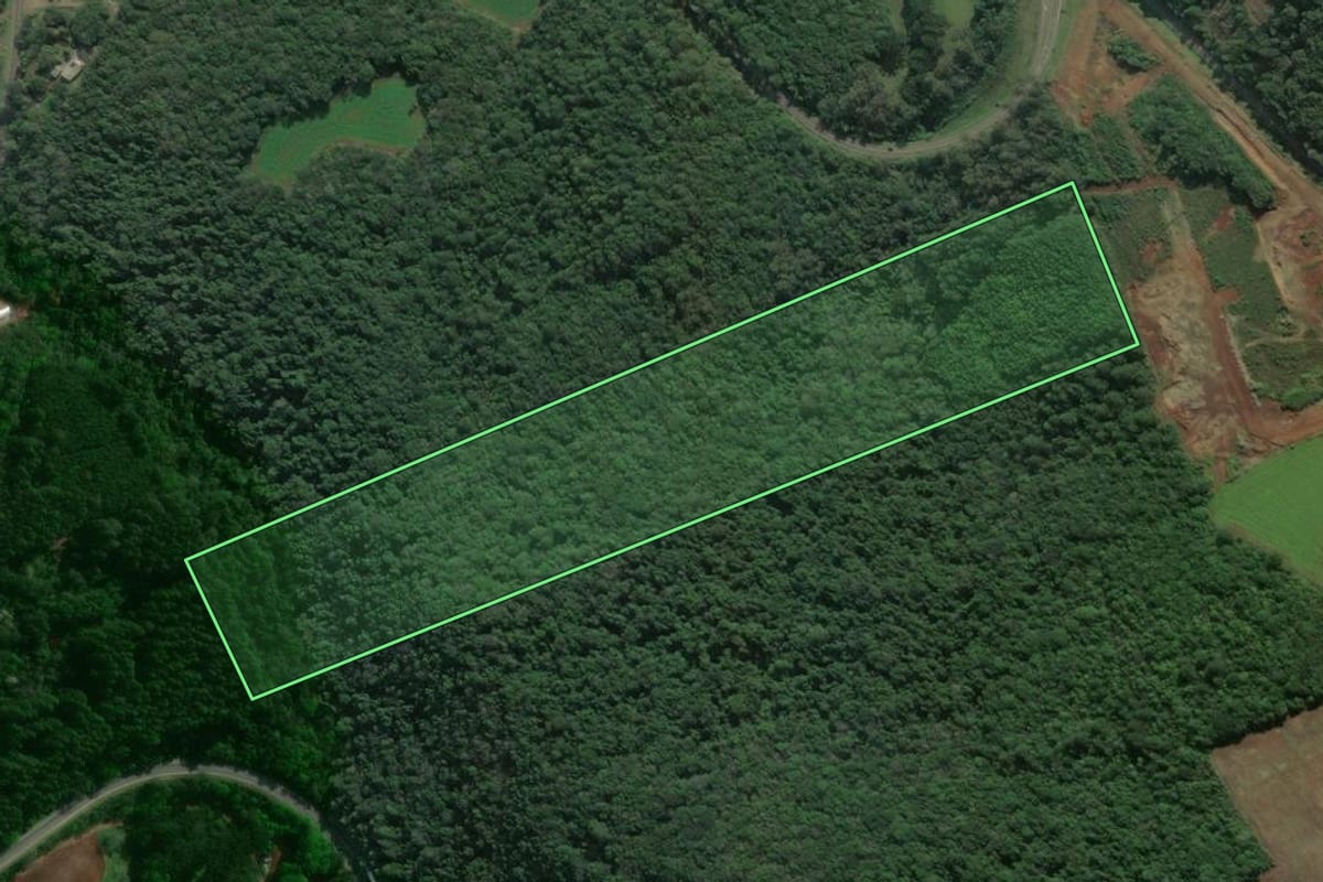 Imagem de satélite do imóvel rural em Dois Lajeados (RS), com o contorno declarado no CAR desenhado por cima.