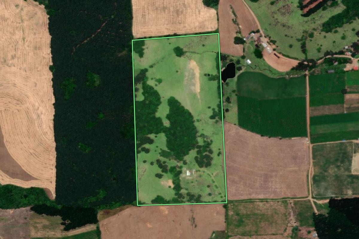 Imagem de satélite do imóvel rural em Dois Lajeados (RS), com o contorno declarado no CAR desenhado por cima.
