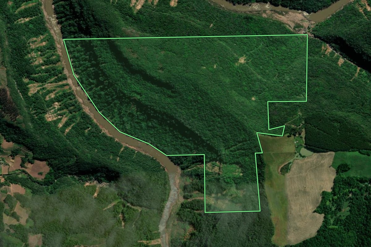 Imagem de satélite do imóvel rural em Dois Lajeados (RS), com o contorno declarado no CAR desenhado por cima.