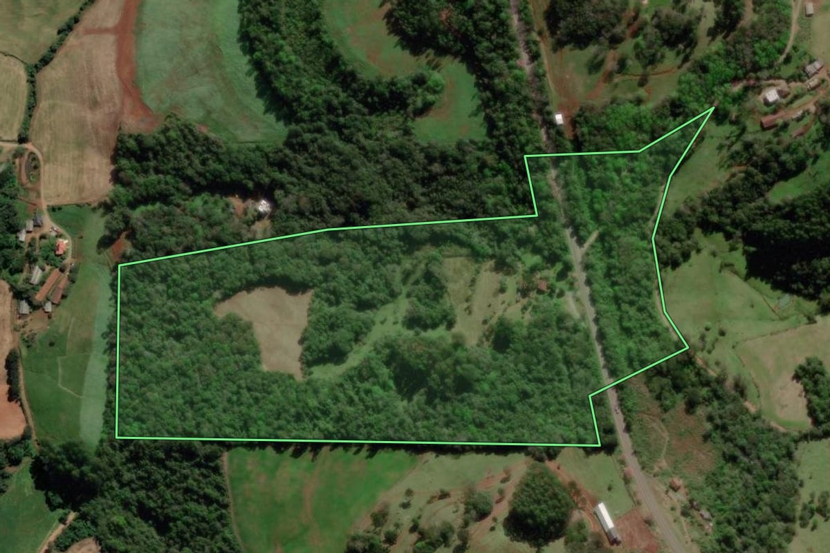 Imagem de satélite do imóvel rural em Dois Lajeados (RS), com o contorno declarado no CAR desenhado por cima.