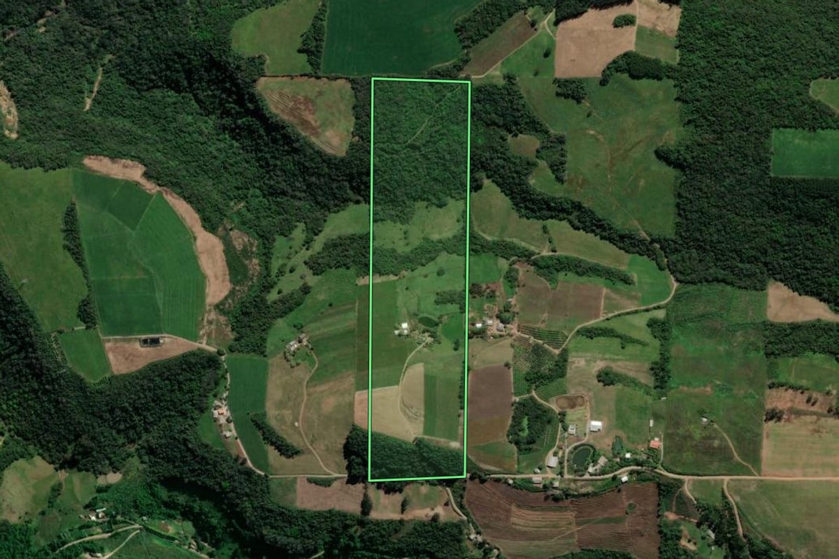 Imagem de satélite do imóvel rural em Dois Lajeados (RS), com o contorno declarado no CAR desenhado por cima.