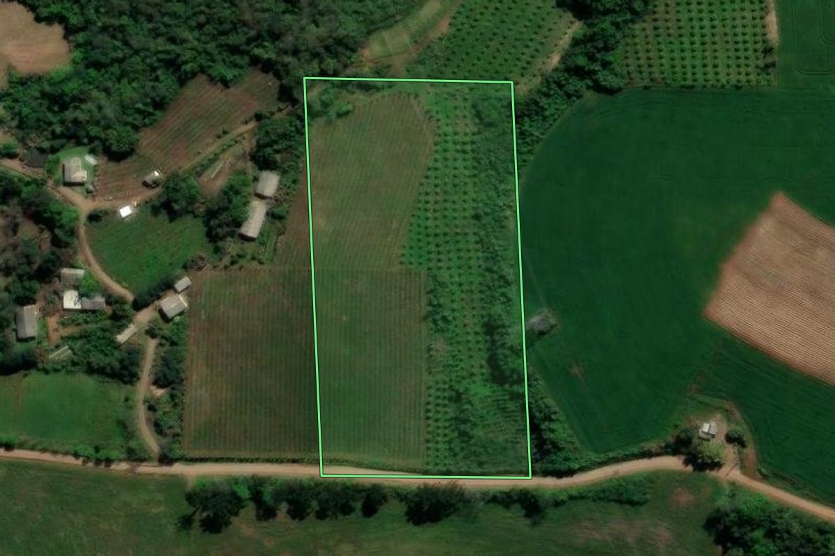 Imagem de satélite do imóvel rural em Dois Lajeados (RS), com o contorno declarado no CAR desenhado por cima.