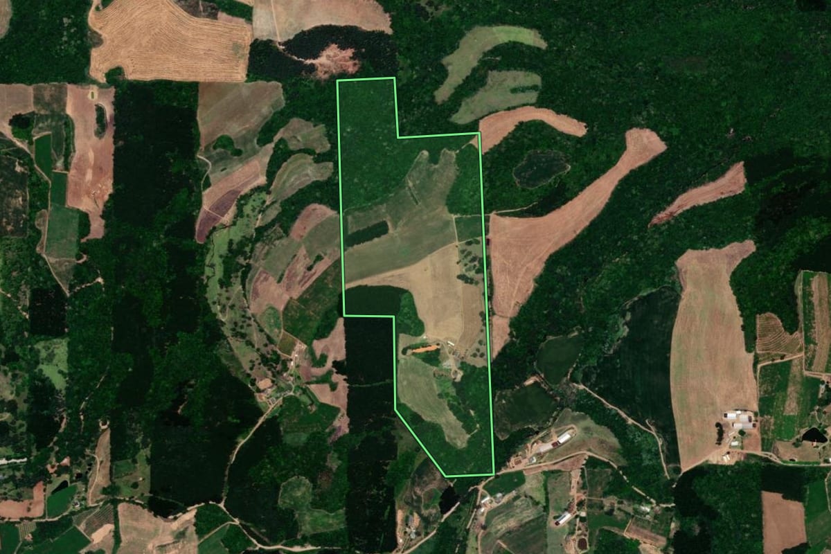 Imagem de satélite do imóvel rural em Dois Lajeados (RS), com o contorno declarado no CAR desenhado por cima.