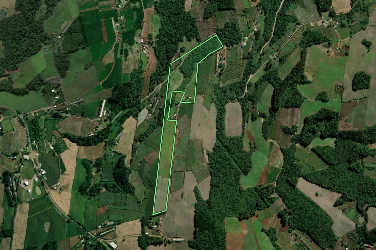 Imagem de satélite do imóvel rural em Dois Lajeados (RS), com o contorno declarado no CAR desenhado por cima.