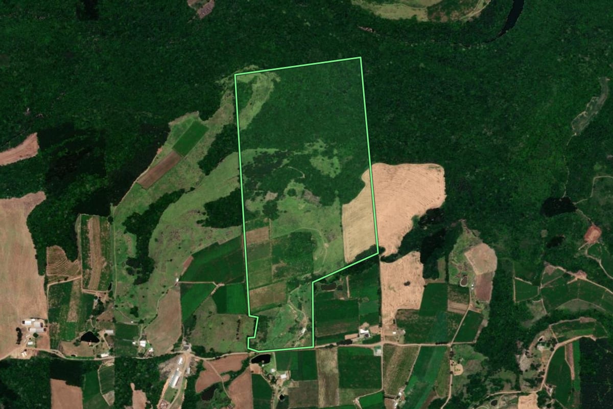 Imagem de satélite do imóvel rural em Dois Lajeados (RS), com o contorno declarado no CAR desenhado por cima.
