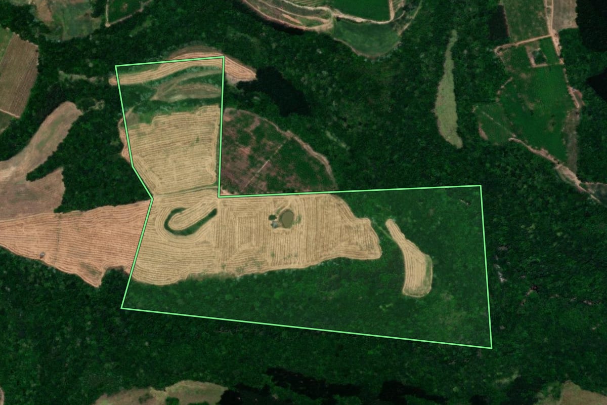 Imagem de satélite do imóvel rural em Dois Lajeados (RS), com o contorno declarado no CAR desenhado por cima.