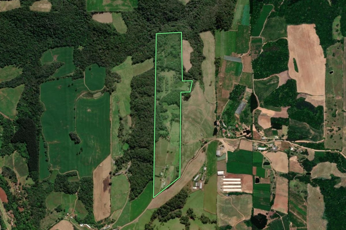 Imagem de satélite do imóvel rural em Dois Lajeados (RS), com o contorno declarado no CAR desenhado por cima.